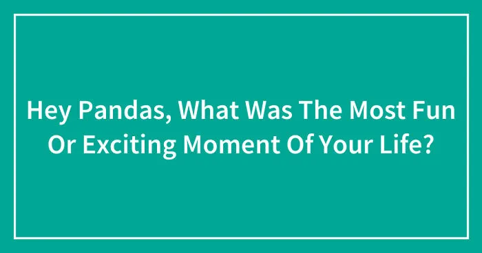Hey Pandas, What Was The Most Fun Or Exciting Moment Of Your Life? (Closed)