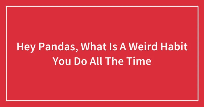 Hey Pandas, What Is A Weird Habit You Do All The Time (Closed)