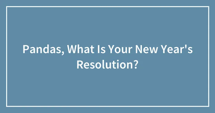 Pandas, What Is Your New Year's Resolution? (Closed)
