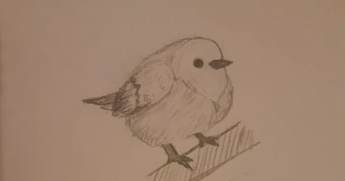 Hey Pandas, Draw A Bird And Post The Result! (Closed)