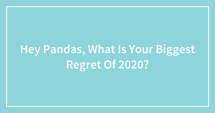 Hey Pandas, What Is Your Biggest Regret Of 2020? (Closed)