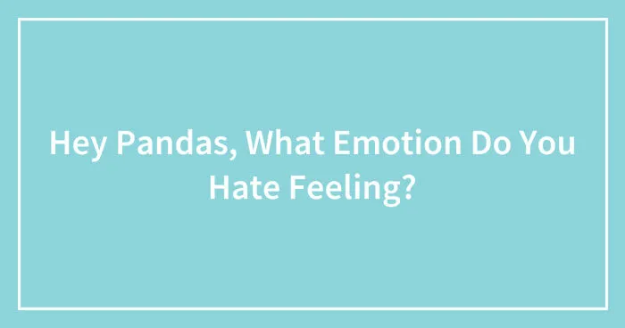 Hey Pandas, What Emotion Do You Hate Feeling? (Closed)