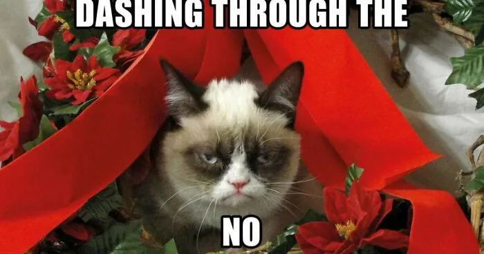 Hey Pandas, Share Your Favorite Christmas Meme! (Closed)