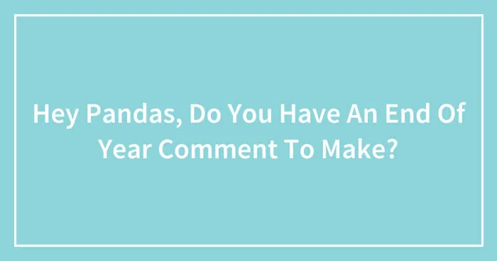 Hey Pandas, Do You Have An End Of Year Comment To Make? (Closed)