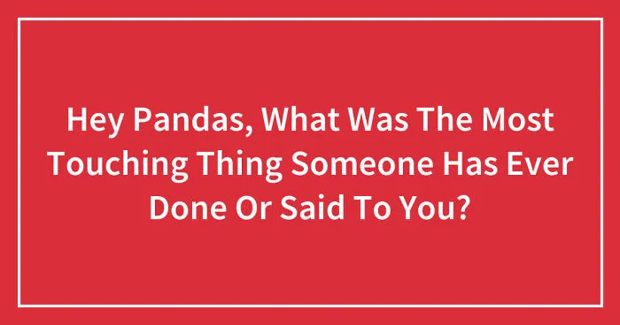 Hey Pandas, What Was The Most Touching Thing Someone Has Ever Done Or Said To You? (Closed)