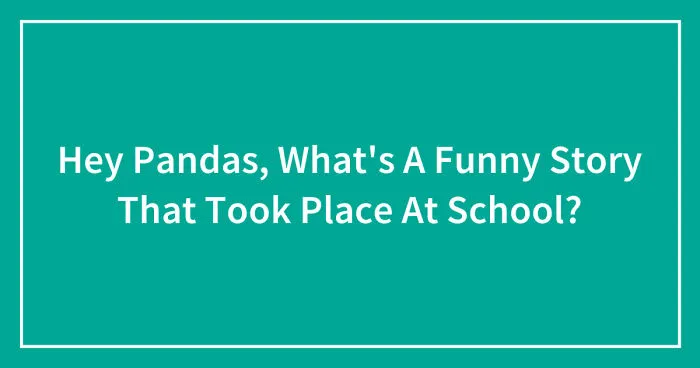 Hey Pandas, What's A Funny Story That Took Place At School? (Closed)