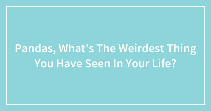 Pandas, What's The Weirdest Thing You Have Seen In Your Life? (Closed)