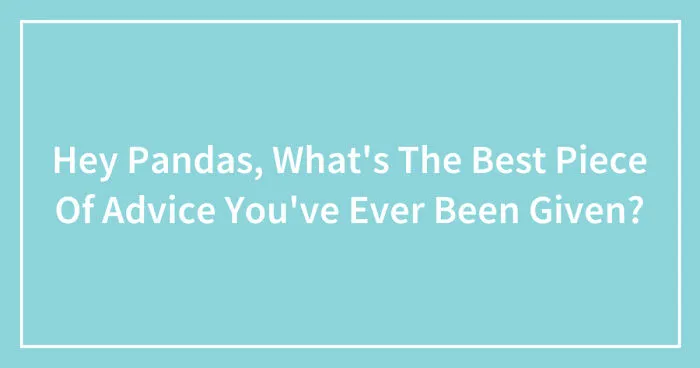 Hey Pandas, What's The Best Piece Of Advice You've Ever Been Given? (Closed)