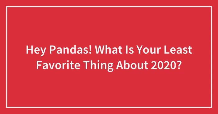 Hey Pandas! What Is Your Least Favorite Thing About 2020? (Closed)