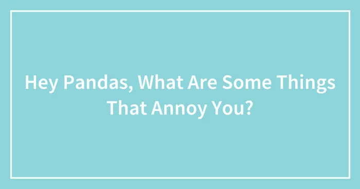 Hey Pandas, What Are Some Things That Annoy You? (Closed)