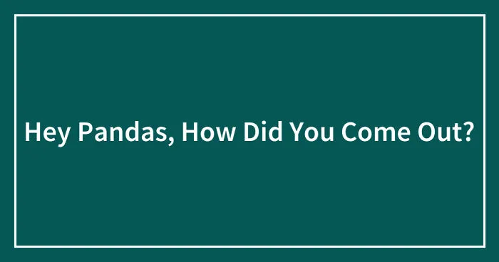 Hey Pandas, How Did You Come Out? (Closed)