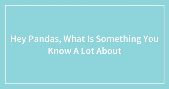 Hey Pandas, What Is Something You Know A Lot About? (Closed)