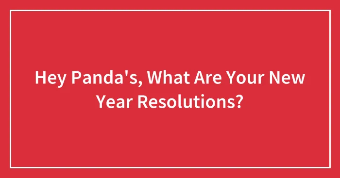 Hey Panda's, What Are Your New Year Resolutions?