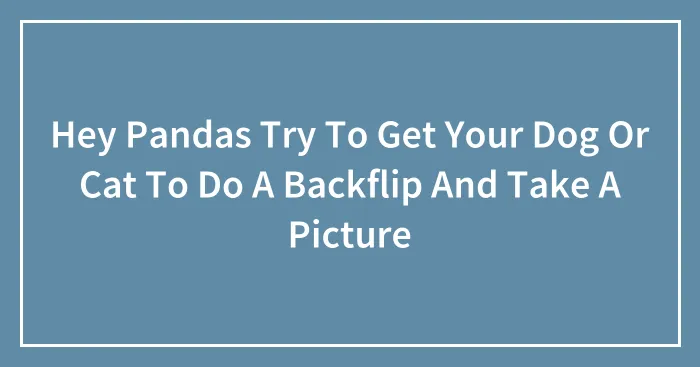 Hey Pandas Try To Get Your Dog Or Cat To Do A Backflip And Take A Picture