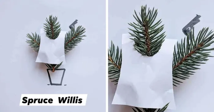 I Turn Famous Bruces Into Spruces (8 Pics)