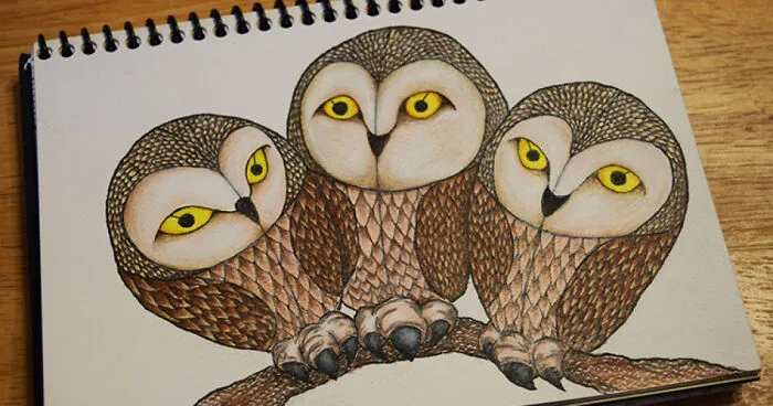 Hey Pandas, Draw Or Paint An Owl And Post The Result Here (Closed)
