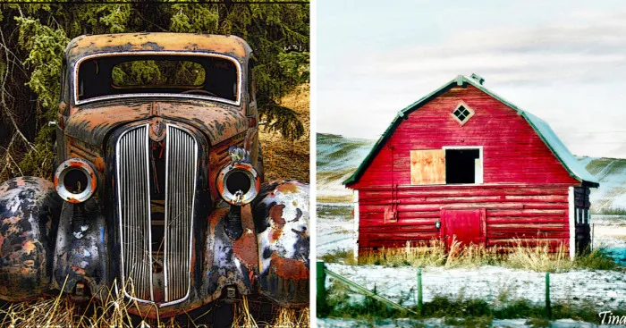 My Road Trips In And Around Alberta (40 Pics)