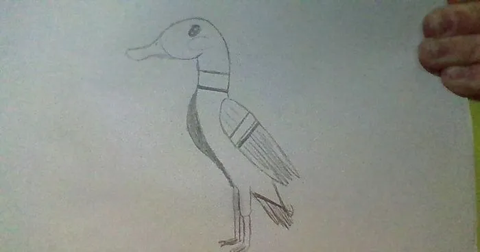 Hey Pandas, Draw Your Favorite Animal In 5 Minutes (Closed)