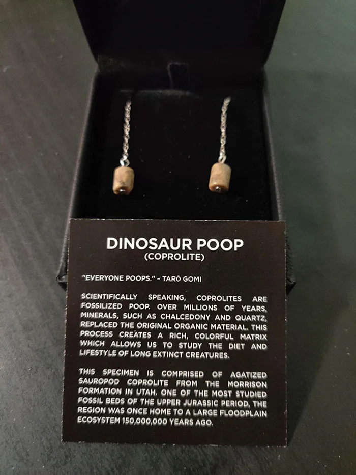 I Told My Husband I Just Wanted Some "Crappy Earrings" For Christmas. He Delivered