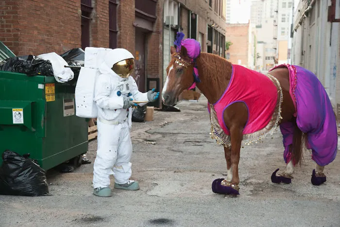 Genie In A Horsie