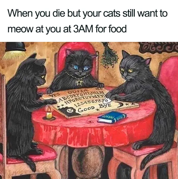 In The Afterlife