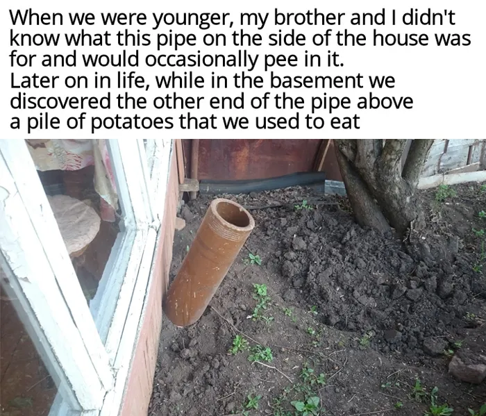 Potato Mind