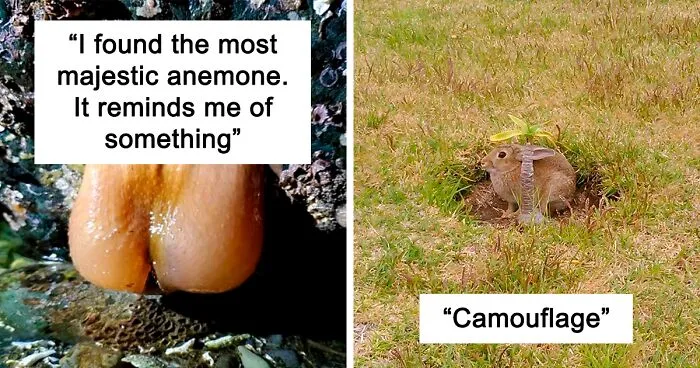 This Facebook Group Is Dedicated To Crappy Wildlife Photos That Are So Bad They're Good (50 New Pics)