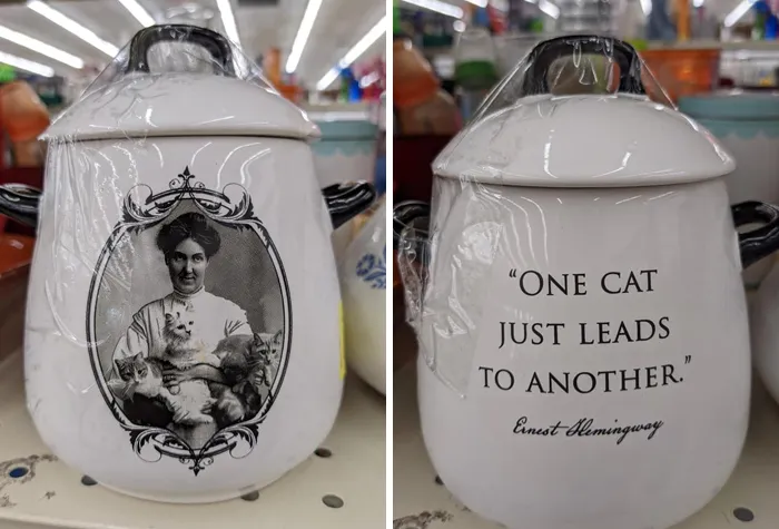 Found At Arc In Lakewood, Co. I Didn't Buy It And I Have Regrets