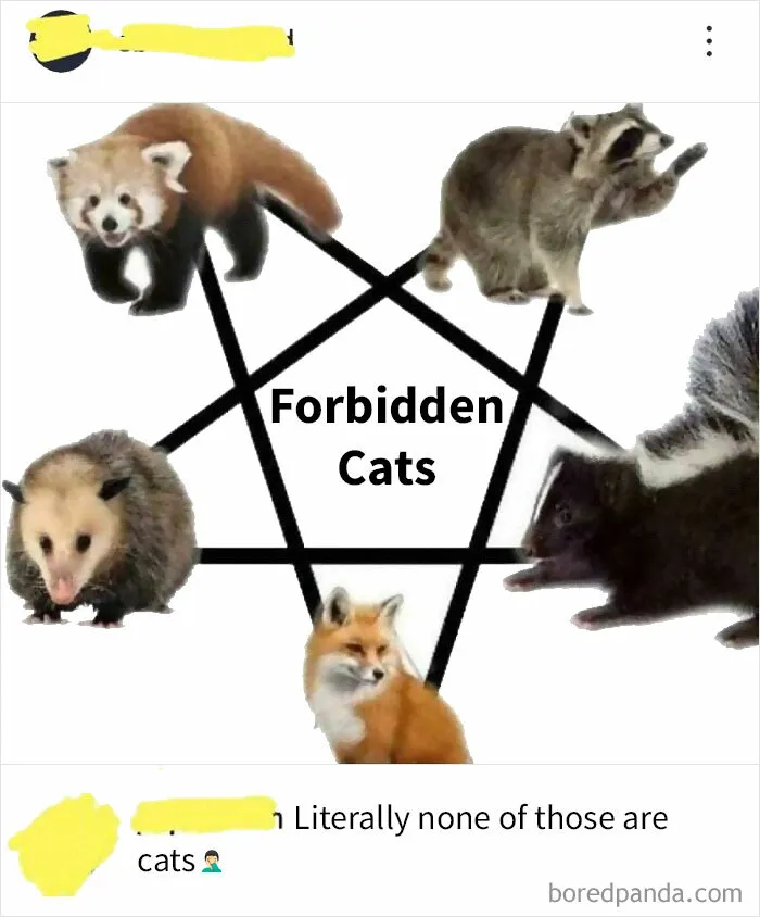 Instagram People