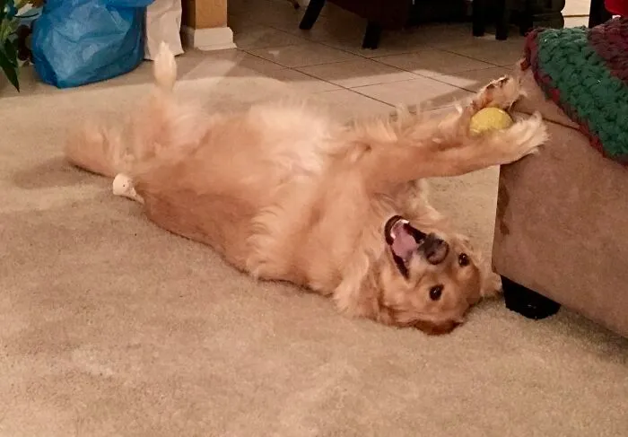 Look Ma, No Thumbs!