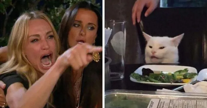 Hey Pandas, Make A Meme About Yourself (Closed)