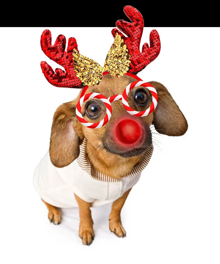 Happy Holidays