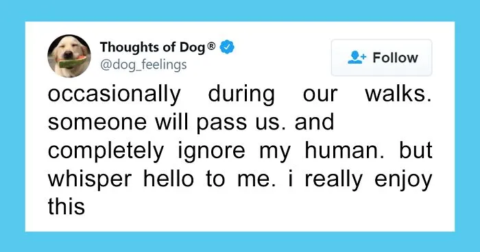 30 Of The Funniest Dog Thoughts That Dog Owners Understand Too Well (New Pics)