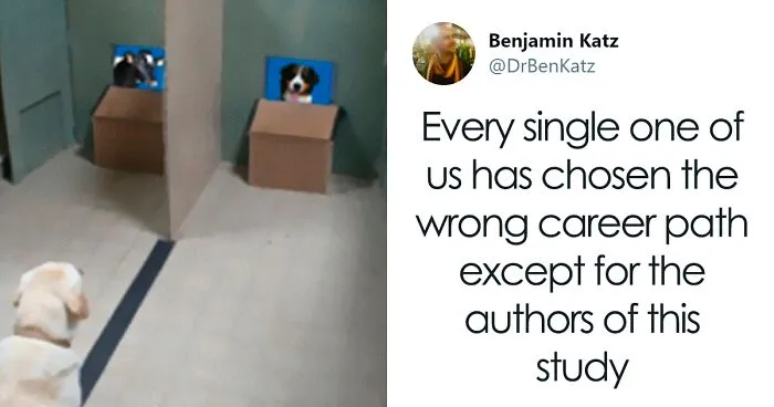 Researchers Try To Identify How Dogs Recognize Each Other, But Their Work Goes Viral For How Cute It Is