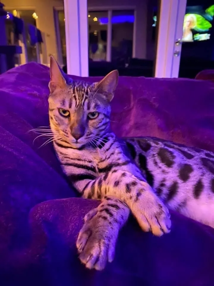 “Draw Me Like One Of Your French Girls Jack...”
