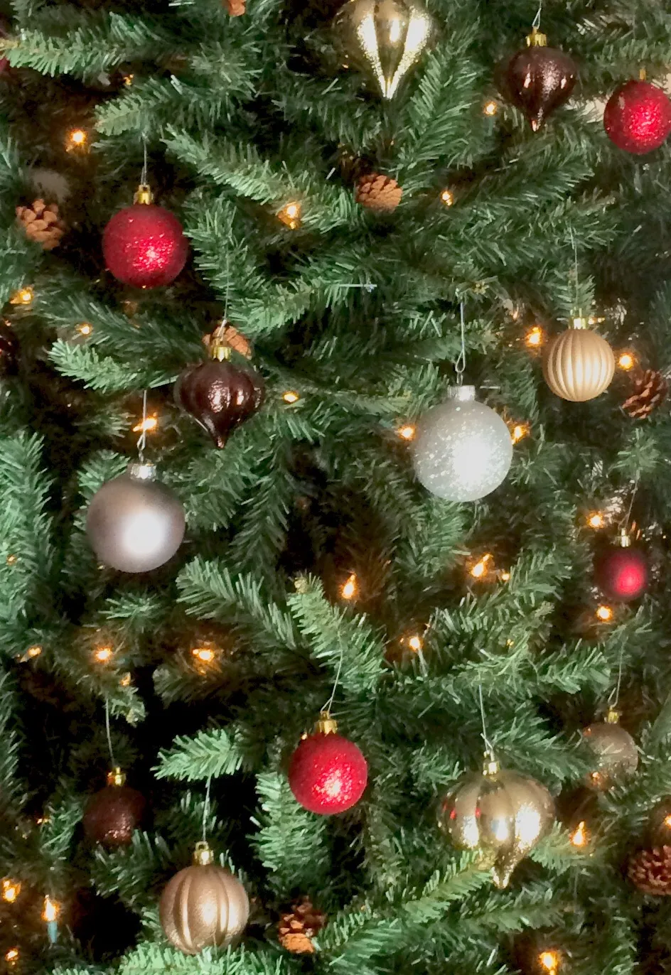 Hey Pandas, Show Us Your Christmas Tree!