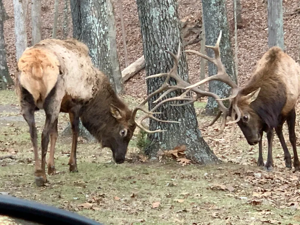 Lone Elk Park