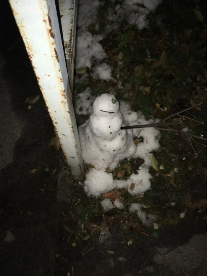 An Already Melting Frosty Mate In Nightly Vienna