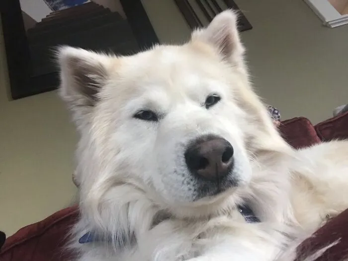 He Was Mad At Me When I Took This Photo