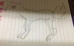 Hey Pandas, Draw A Dog With Your Non-Dominant Hand And Post The Result (Closed)