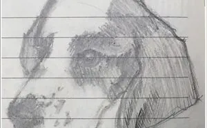 Hey Pandas, Post A Drawing Of Your Favorite Animal That You Drew (Closed)