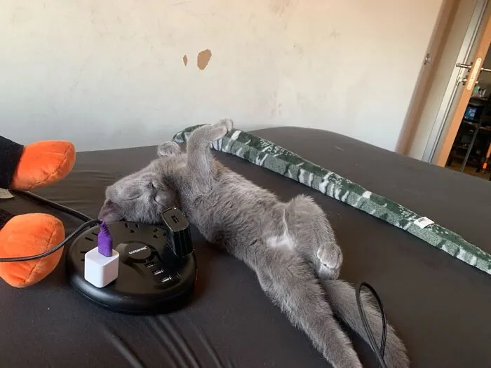 This Is Just How  He Sleeps