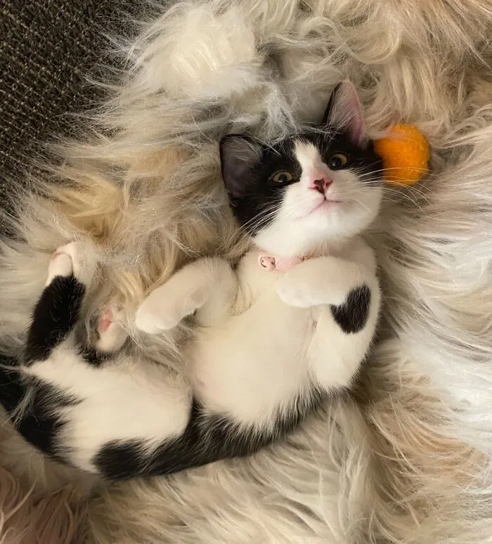My Fav Picture Of Her