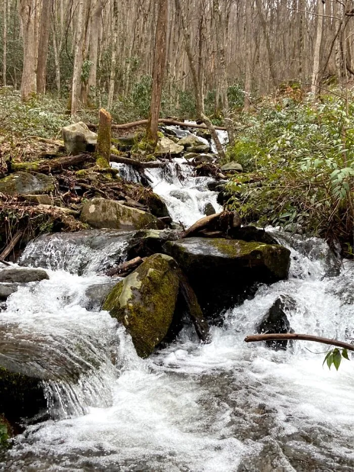 Smokey Mountains