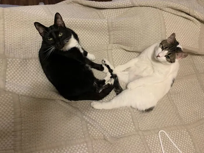 Sisters!