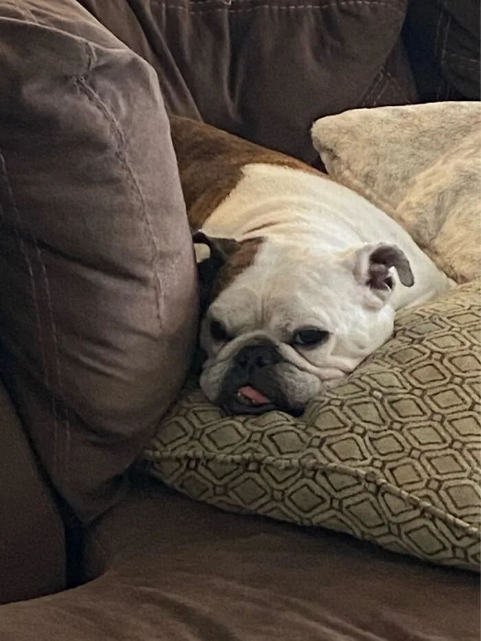 Sweet Lulu