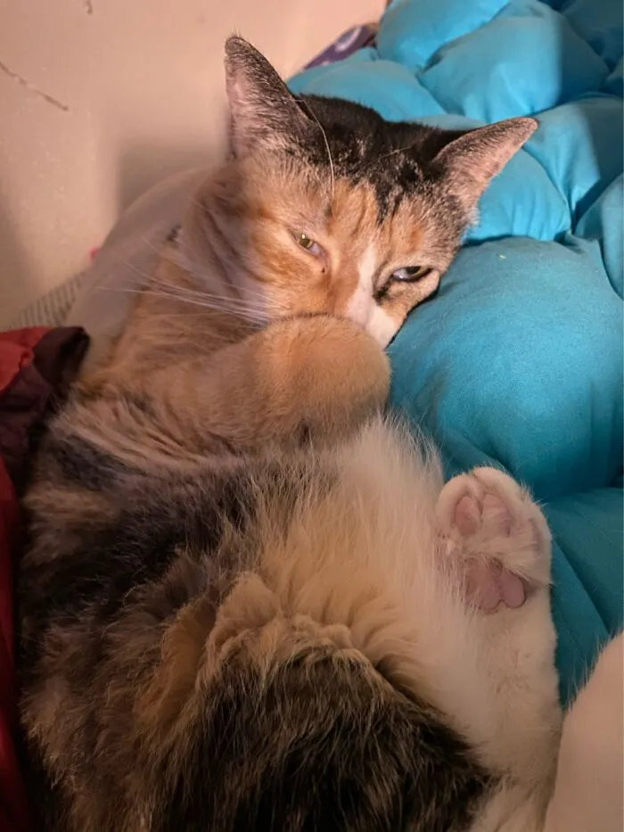 Snuggly Time.