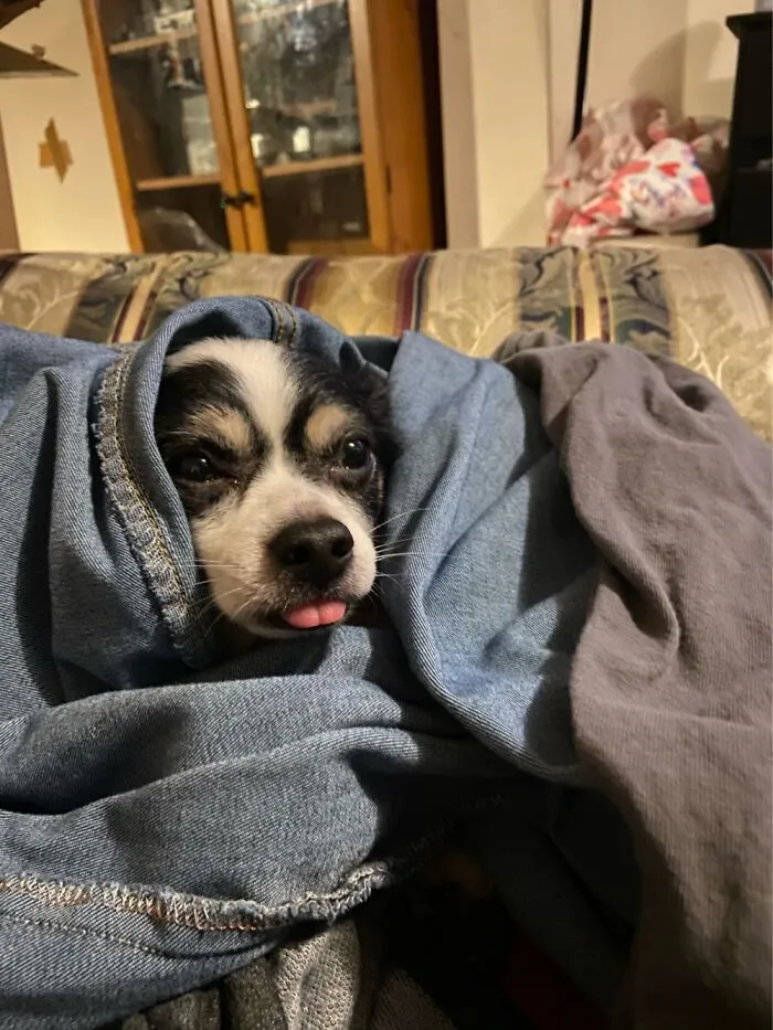 Clothes Hot From The Dryer=beni At 100% Deep