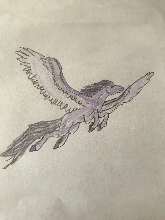 I Just Made This And I’m Just Gonna Say It’s A Night  Pegasus