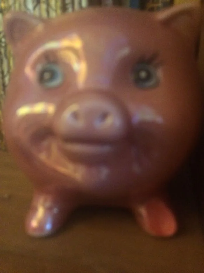 My Old Piggy Bank. Sorry For The Bad Quality. I Don’t Know Why I Have Not Disposed Of It Yet.